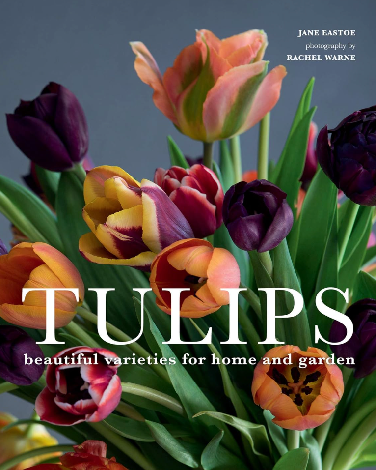 Tulips Beautiful Varieties for Home and Garden – Mettowee Mint
