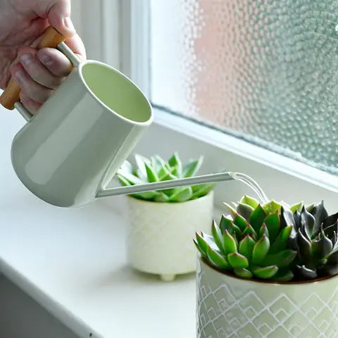 Indoor Watering Can - Olive FSC 100%