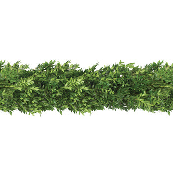 Boxwood Garland, 25' Length