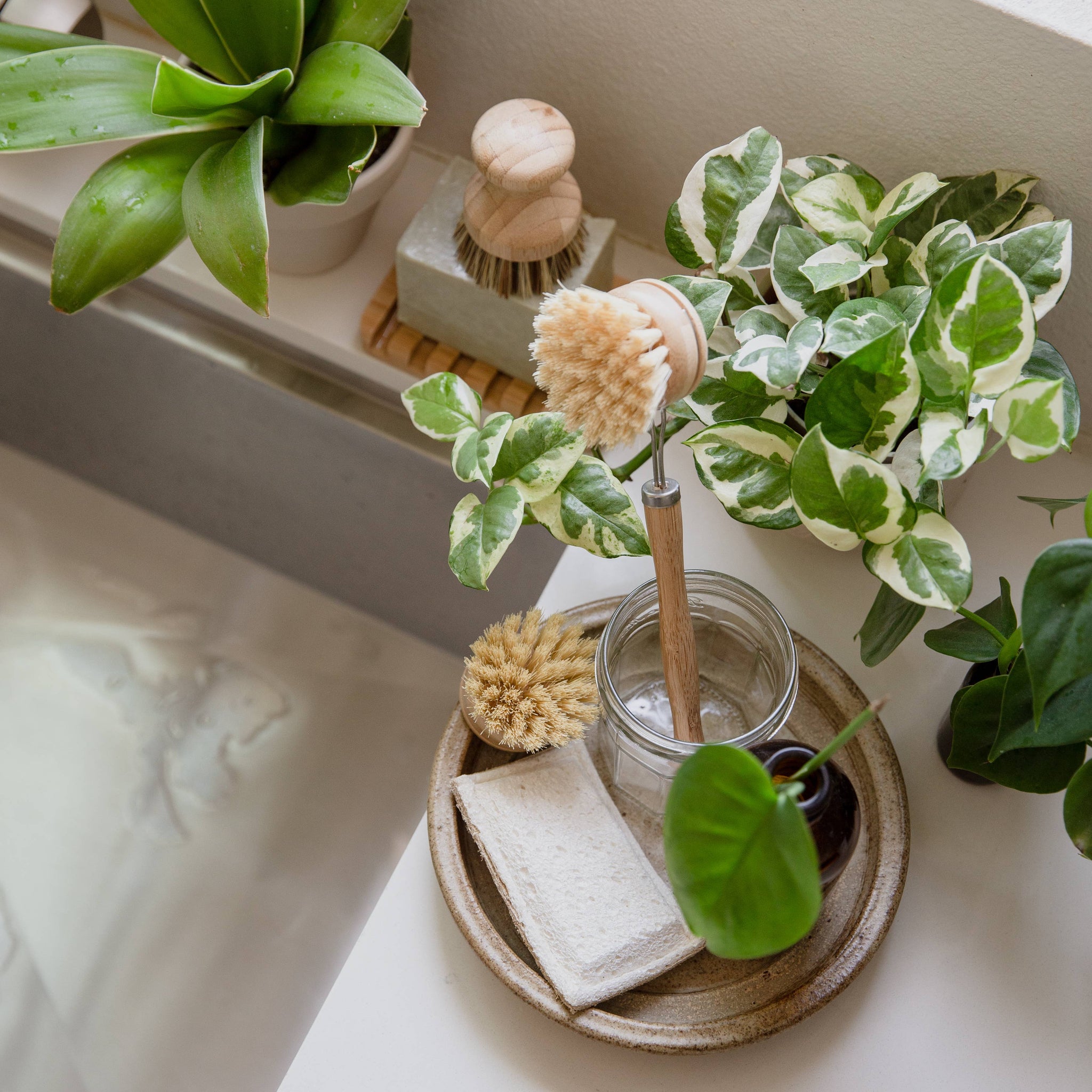 Sisal Dish Brush with Replaceable Head | Eco Friendly