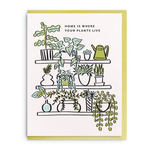 Home Plants