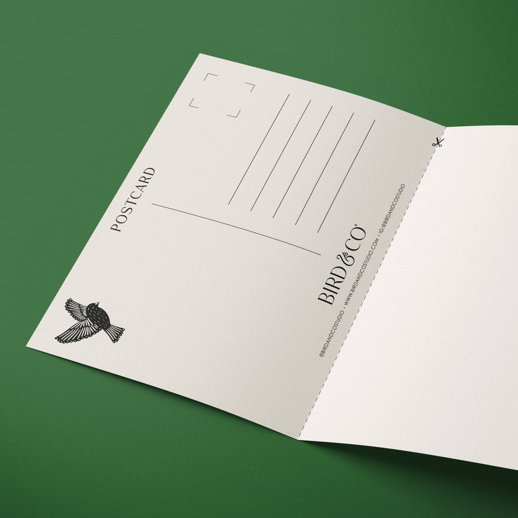 Bluebell | Modern-Retro Floral Reusable Greeting Card