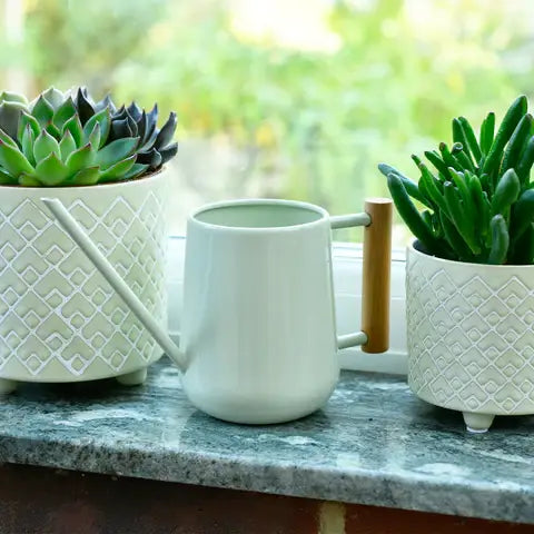Indoor Watering Can - Olive FSC 100%