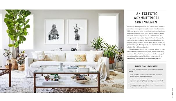 Decorating with Plants