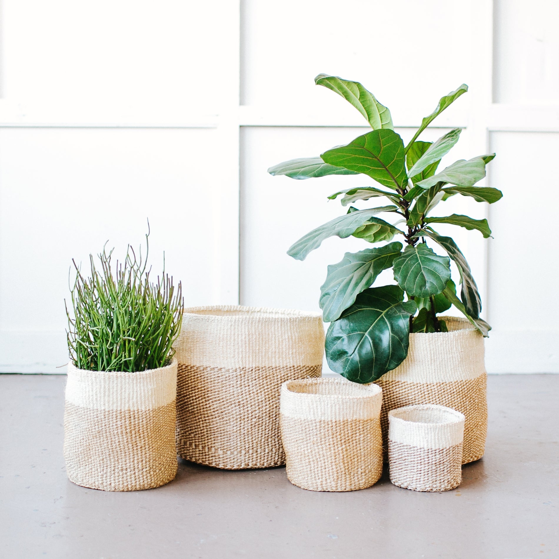 Storage Basket