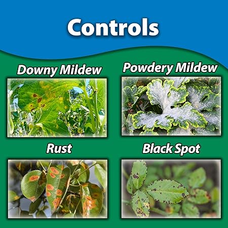 Montrey Liquid Copper Fungicide 32 OZ RTU LG 3154