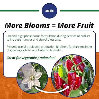 Jacks Classic 1.5# 10-30-20 Blossom Booster Fertilizer