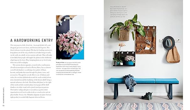 Decorating with Plants