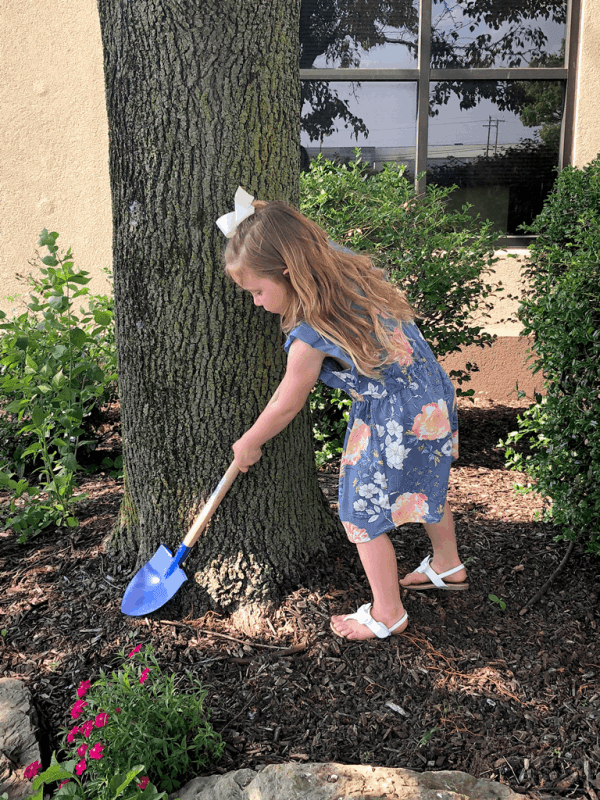 Fox Point Shovel (Kids Tool)
