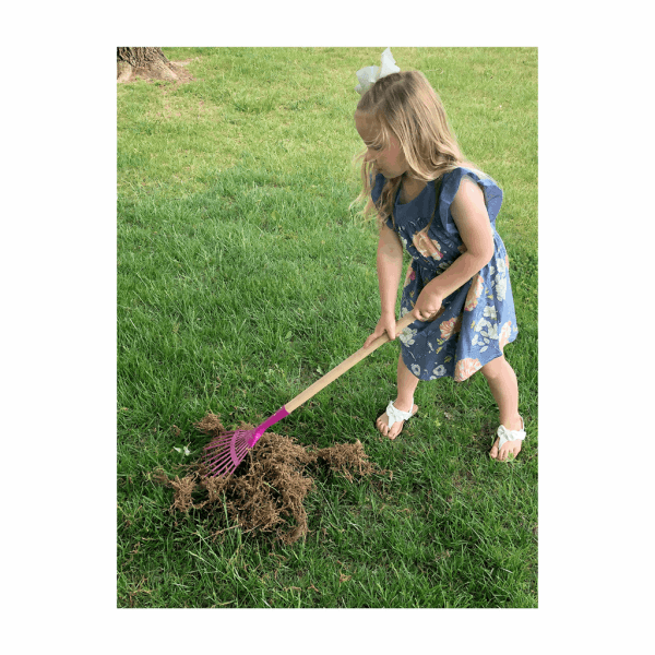 Leaf Rake (Kids Tool)