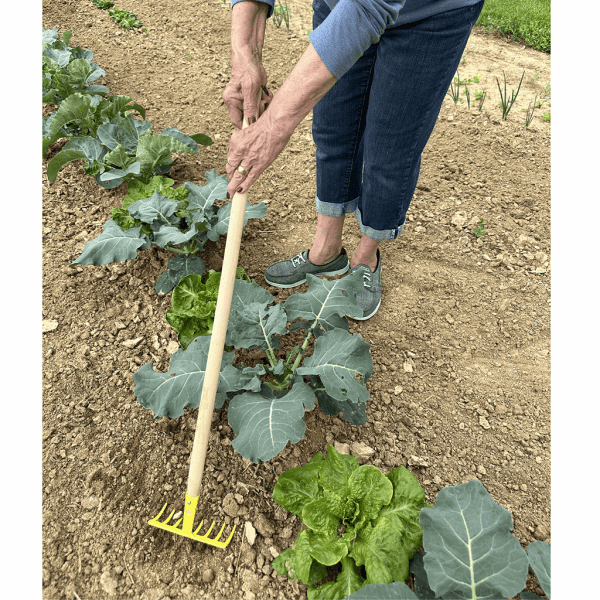 Soil Rake (Kids Tool)