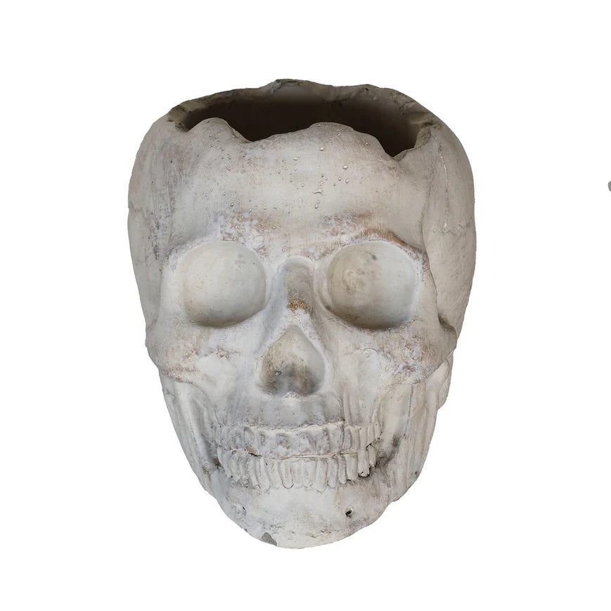 Concrete Momento Mori Skull