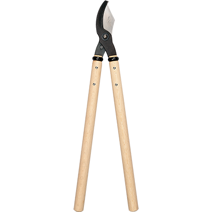 Loppers Mettowee Mint