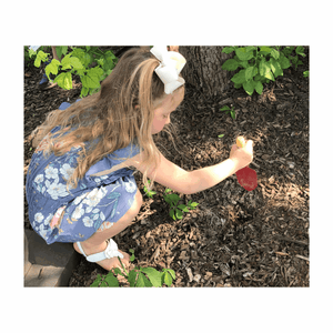 Hand Trowel (Kids Tool)