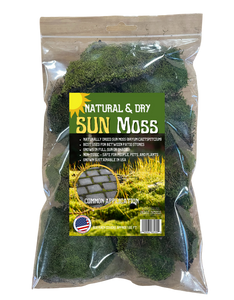 Sun Moss (Bryum Caetspitcium) 8oz