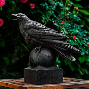 Corvus