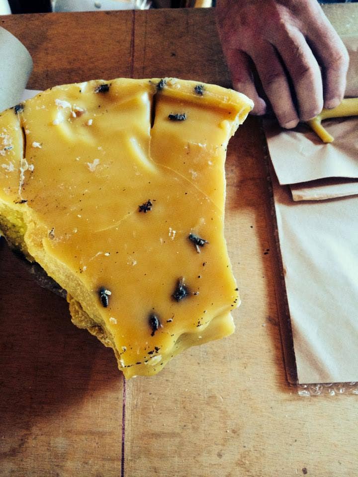 Stick Candles Hickory Pair