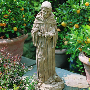 25" St. Francis