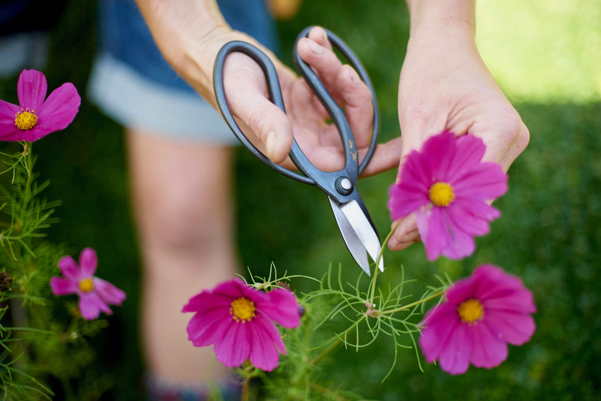 Sentel Garden Scissors