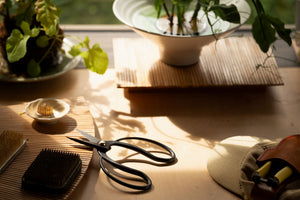 Sentel Garden Scissors