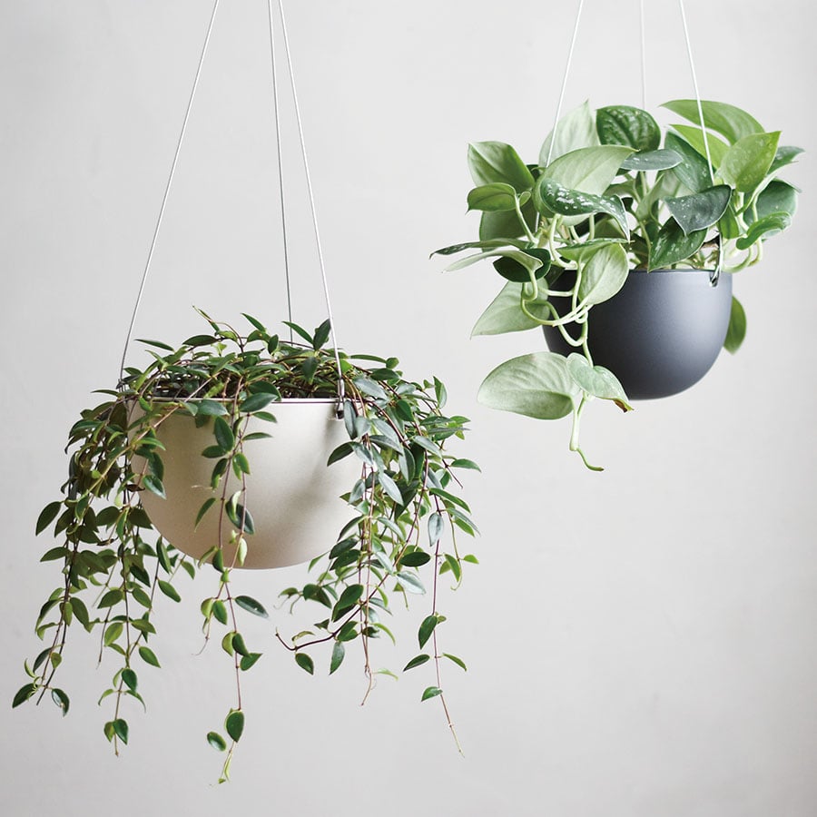 PLANT POT SM