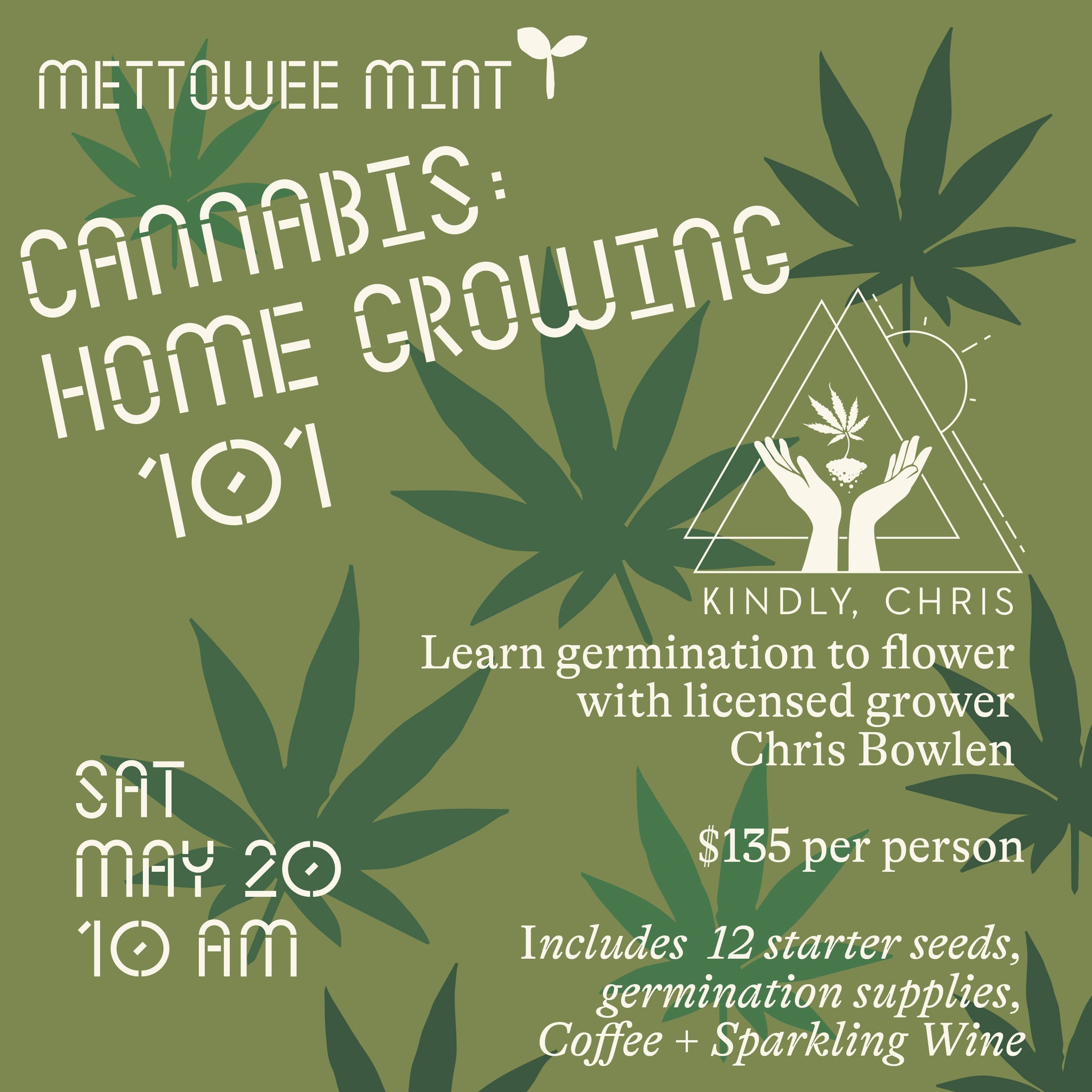 Cannabis: Home Growing 101
