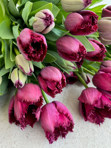 Winter Tulip Subscription- Delivery to Local 15 min