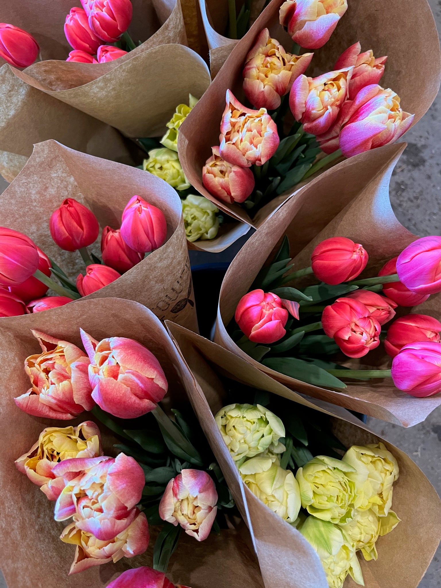 Winter Tulip Subscription- Delivery to Local 15 min