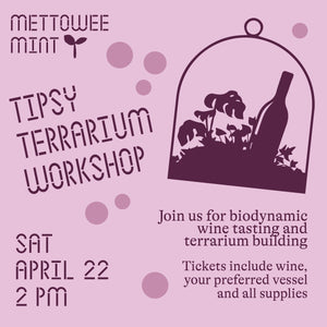 Tipsy Terrarium Workshop
